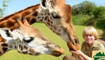 Australia Zoo Sunshine Coast